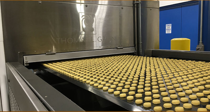 twin tube gold coated thermal element